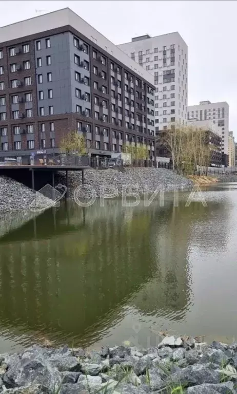 1-к кв. Тюменская область, Тюмень Новгородская ул., 20 (33.1 м) - Фото 1