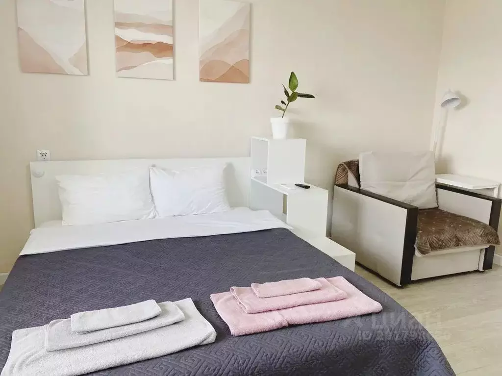 Студия Челябинская область, Магнитогорск Лесопарковая ул., 93/1 (26.0 ... - Фото 2