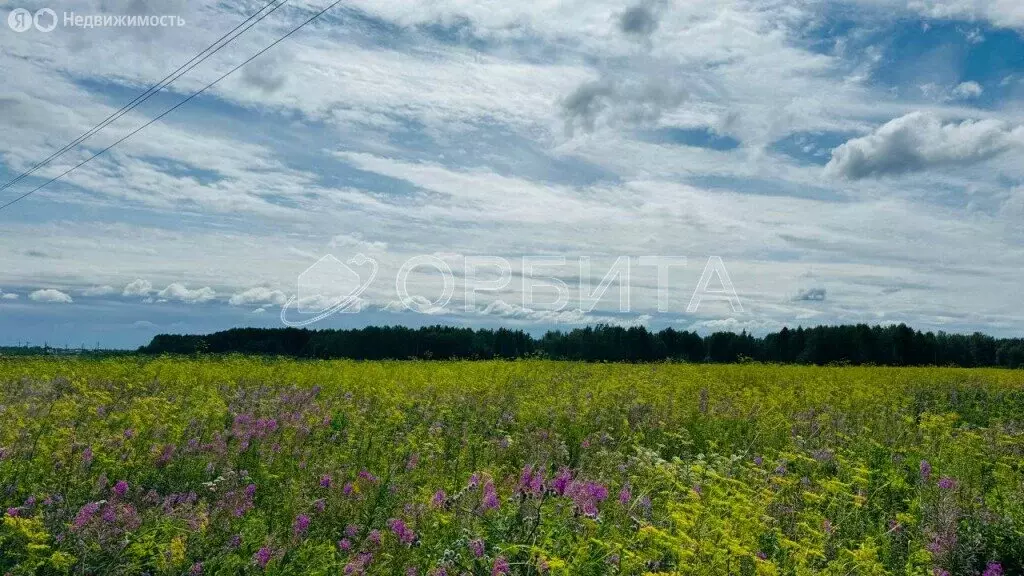 Участок в Тюменский муниципальный округ, село Кулаково (1290 м) - Фото 2
