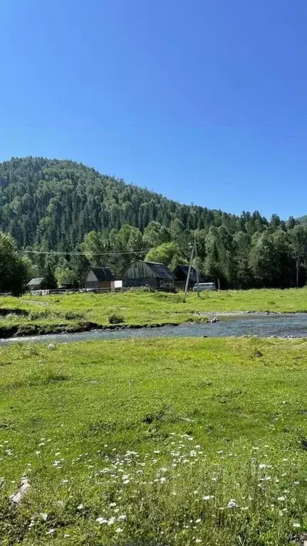 Участок в Алтай, Чемальский район, Элекмонарское с/пос, пос. Каракол  ... - Фото 2