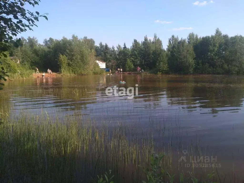 Участок в Ленинградская область, Лужский район, Мшинское с/пос, ... - Фото 0