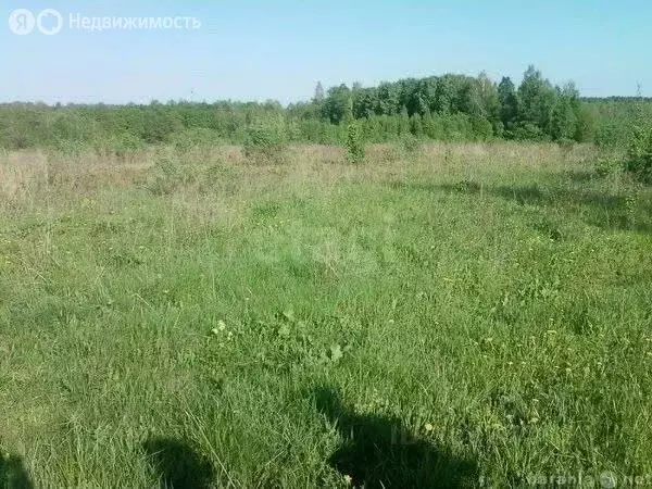 Участок в Пермский муниципальный округ, деревня Ключики (Култаевское ... - Фото 1