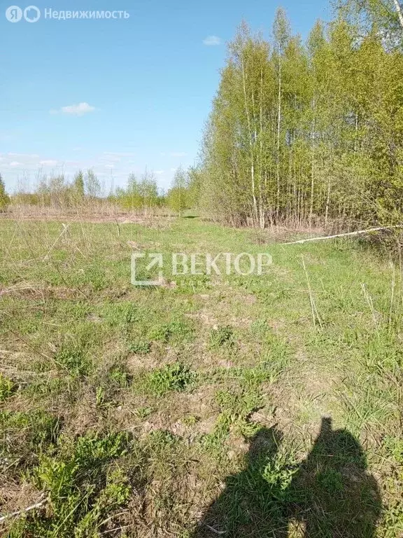 Участок в деревня Середняя, Дачная улица (12 м) - Фото 1