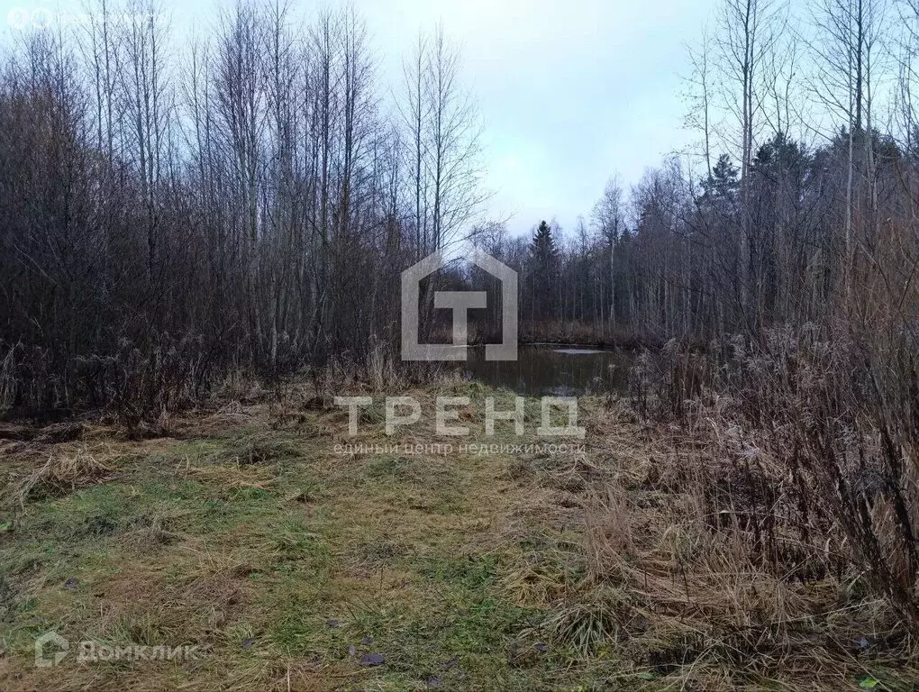 Участок в Ленинградская область, Гатчинский муниципальный округ, ... - Фото 1
