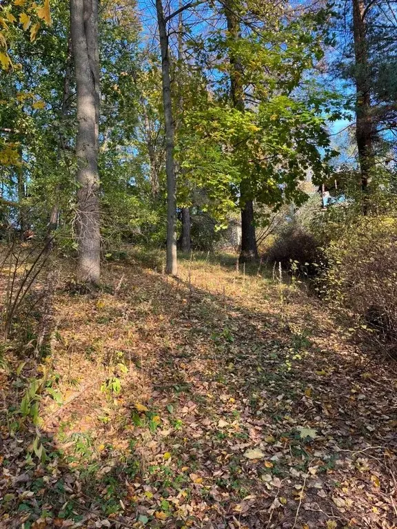 Участок в Московская область, Одинцовский городской округ, с. ... - Фото 1
