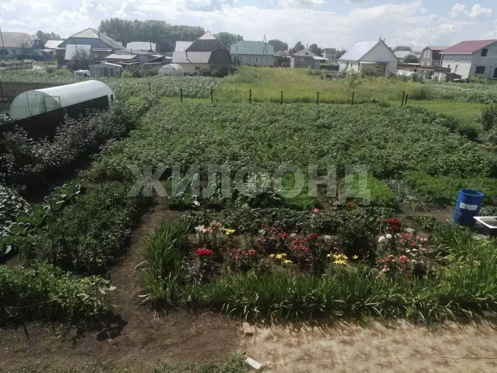 Дом в Новосибирская область, Коченево рп 6-я линия (176 м) - Фото 2