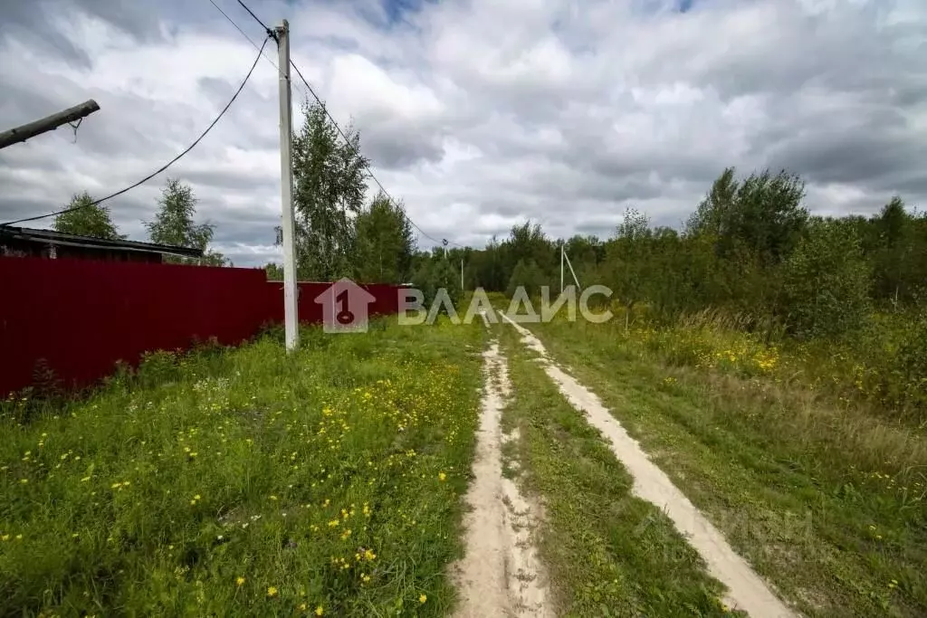 Участок в Нижегородская область, Богородский муниципальный округ, с. ... - Фото 0