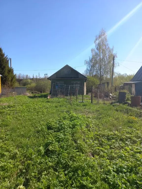 Участок в Вологодская область, Вологда Берег-1 садоводческое ... - Фото 1