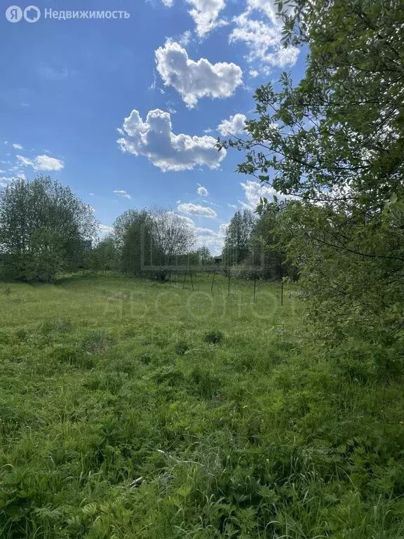 Участок в Сергиево-Посадский городской округ, деревня Тарбеево (20 м) - Фото 1