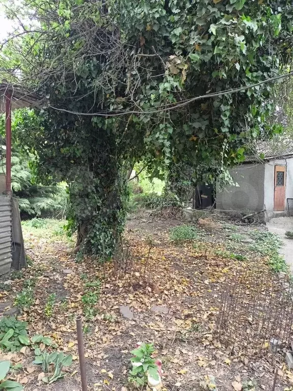Дом 75 м на участке 17 сот. - Фото 1