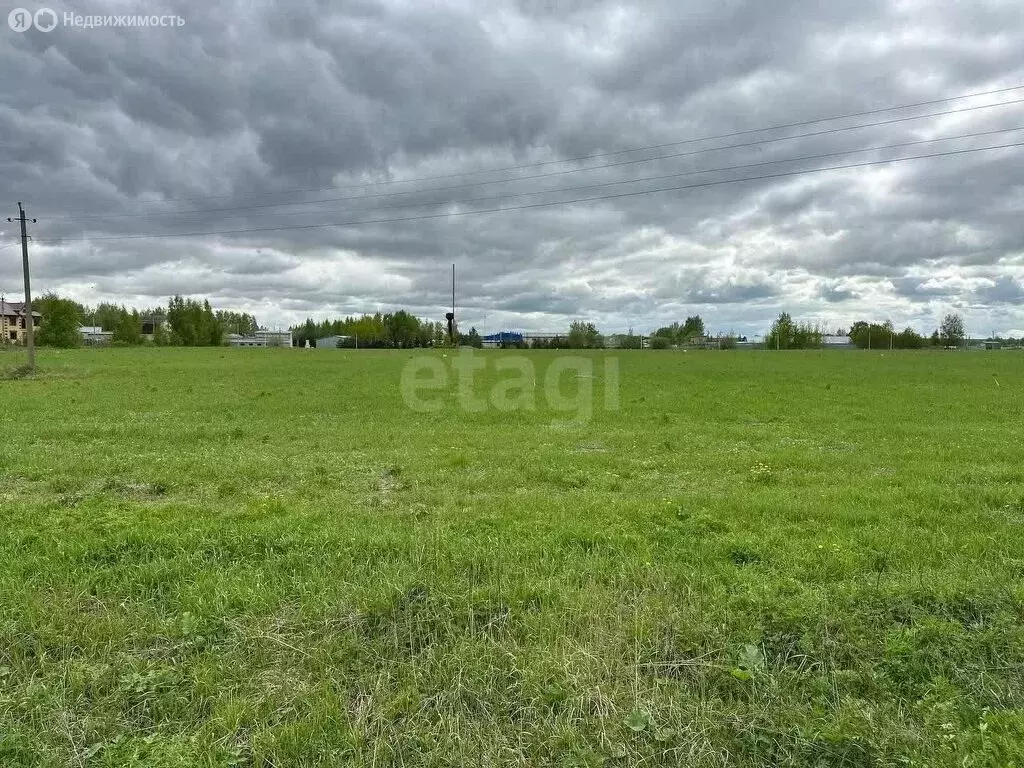 Участок в Костромской район, Шунгенское сельское поселение, деревня ... - Фото 0