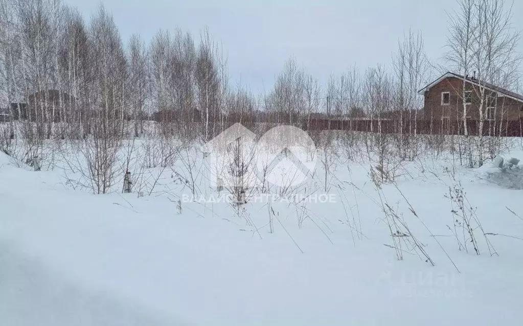 Участок в Новосибирская область, Новосибирский район, Морской ... - Фото 0