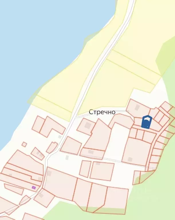 Участок в Псковская область, Пушкиногорский район, Велейская волость, ... - Фото 2