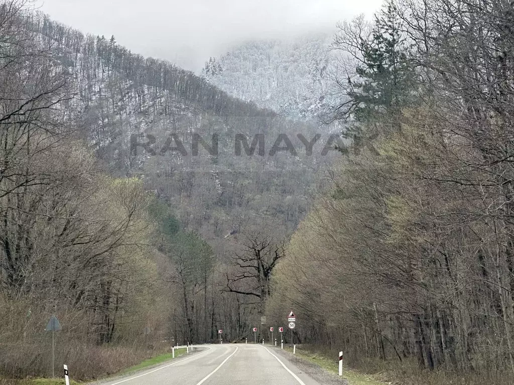 Участок в Адыгея, Майкопский район, Даховское с/пос, с. Хамышки ул. ... - Фото 1