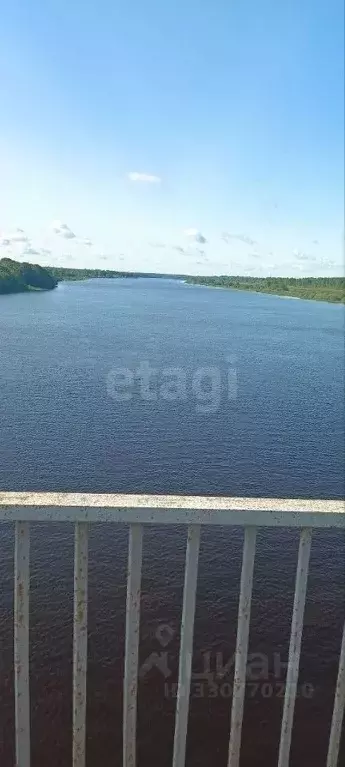 Участок в Новгородская область, Чудовский муниципальный район, ... - Фото 1