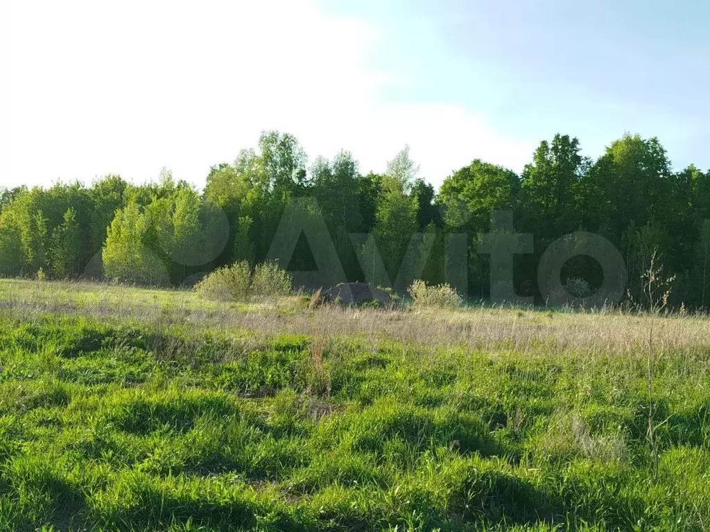 Участок 10,4 сот. (ИЖС) - Фото 1