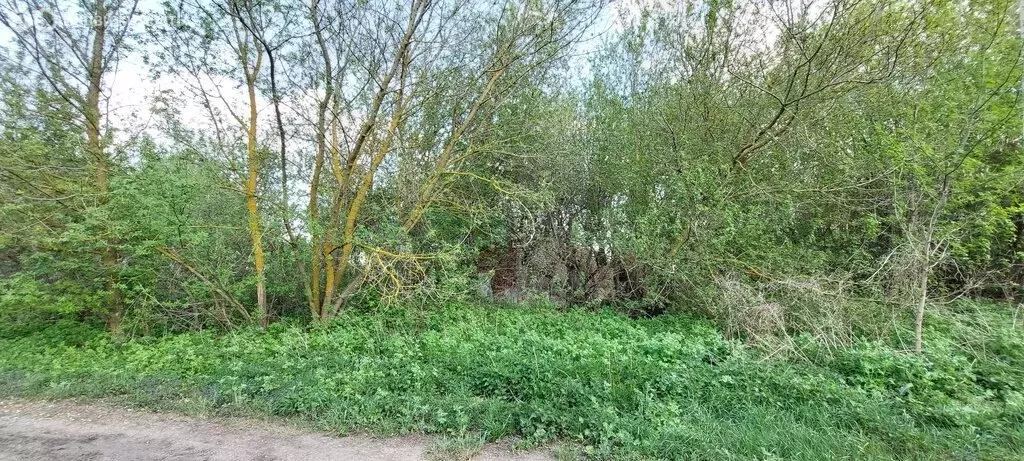 Участок в село Никольское, Луговая улица (40 м) - Фото 2