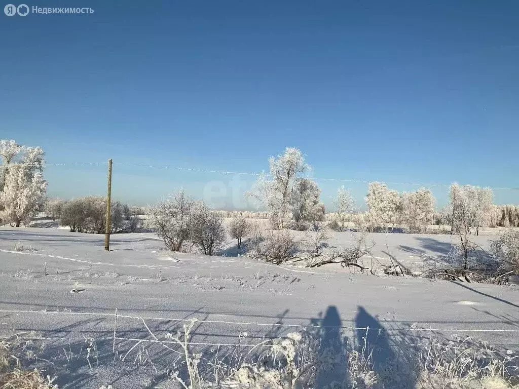 Участок в Ишимский район, деревня Малиновка (15 м) - Фото 0