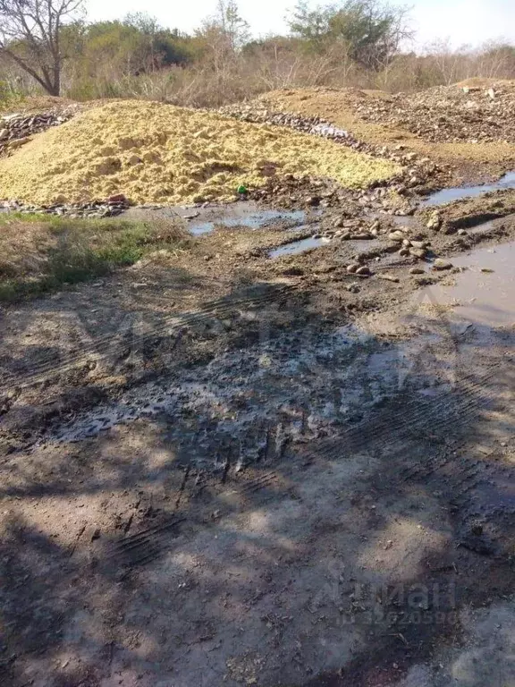 Участок в Краснодарский край, Славянск-на-Кубани Ивушка СДТ,  (8.0 ... - Фото 2