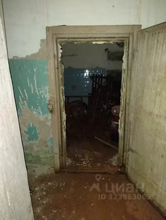 Помещение свободного назначения в Воронежская область, Воронеж ул. ... - Фото 1