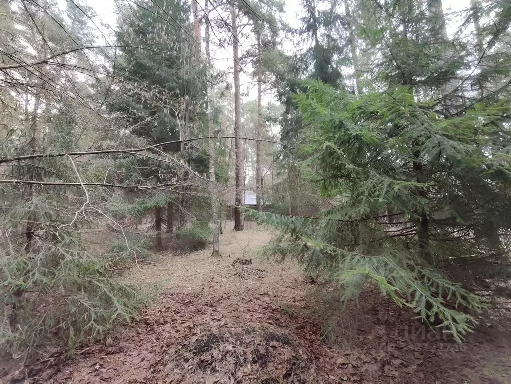 Участок в Московская область, Одинцовский городской округ, д. Жуковка  ... - Фото 1