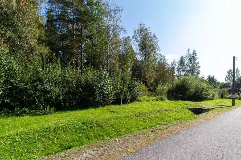 Участок в Ленинградская область, Всеволожский район, Бугровское ... - Фото 2