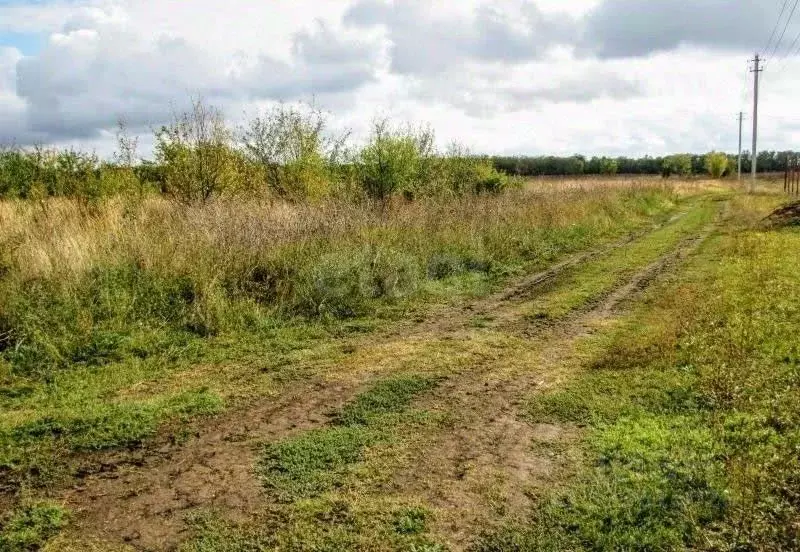 Участок в Курская область, Курский район, Нижнемедведицкий сельсовет, ... - Фото 1