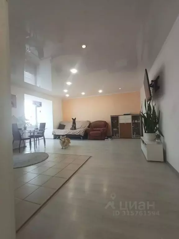 2-к кв. Тамбовская область, Тамбов ул. Киквидзе, 106 (60.0 м) - Фото 1