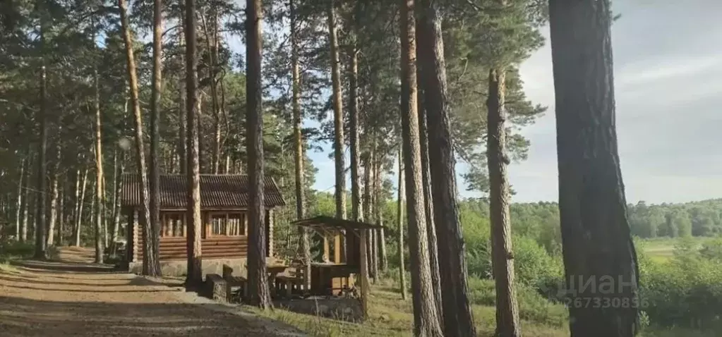 Дом в Челябинская область, Чебаркуль пос. Санаторий Кисегач, 27 (28 м) - Фото 1