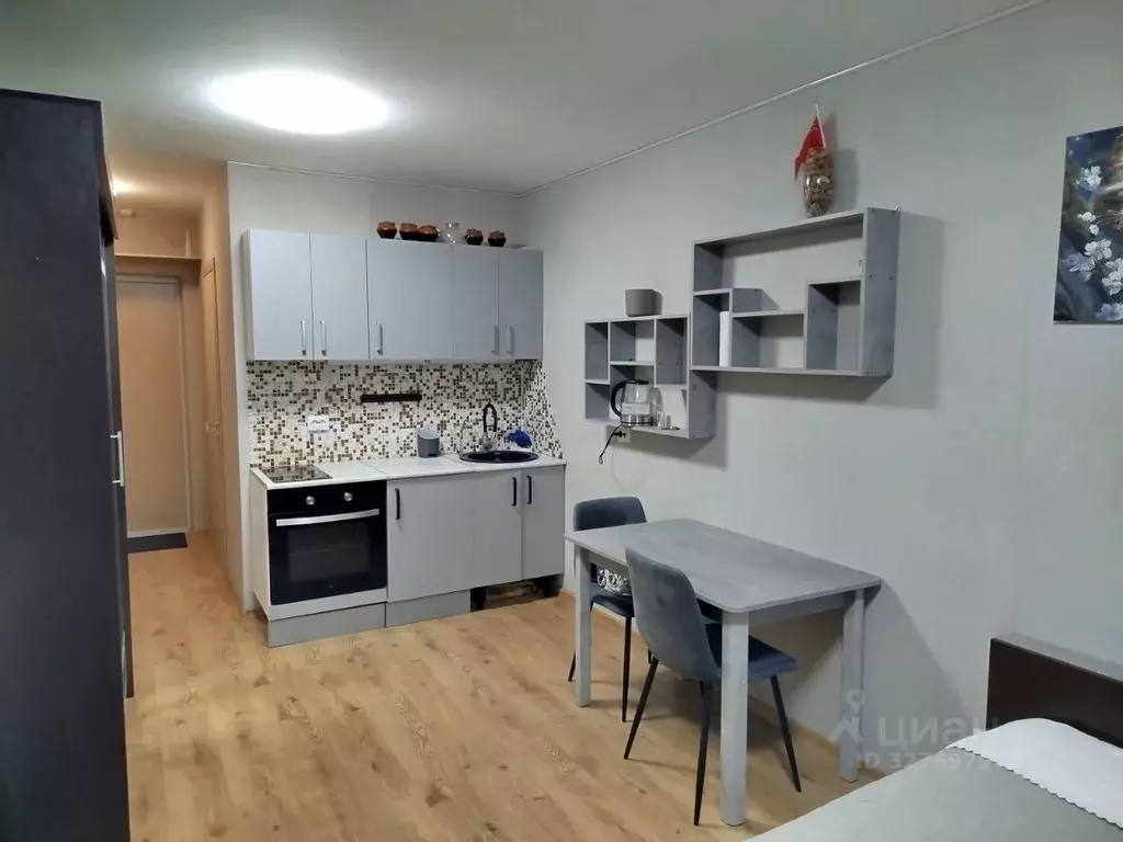 Студия Санкт-Петербург пос. Парголово, проезд Толубеевский, 8к2 (22.1 ... - Фото 1