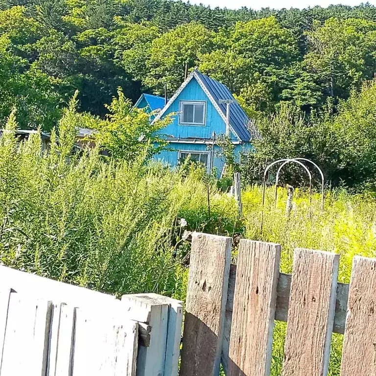 Участок в Сахалинская область, Невельский городской округ, с. ... - Фото 1