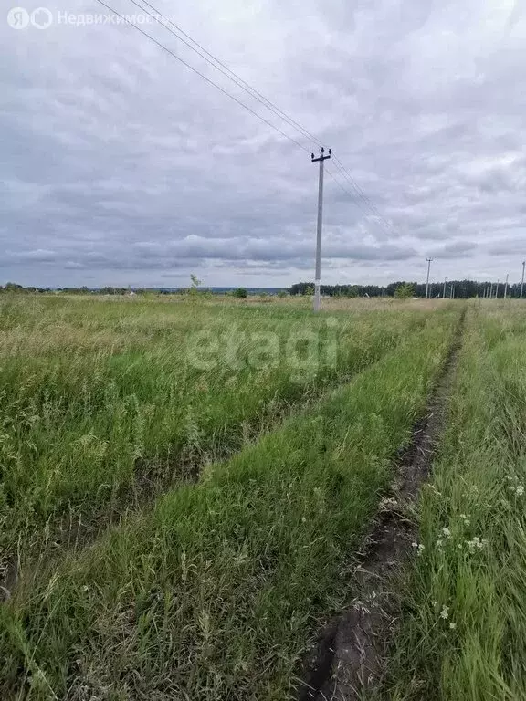 Участок в село Луговое, улица Шамукова (15 м) - Фото 1