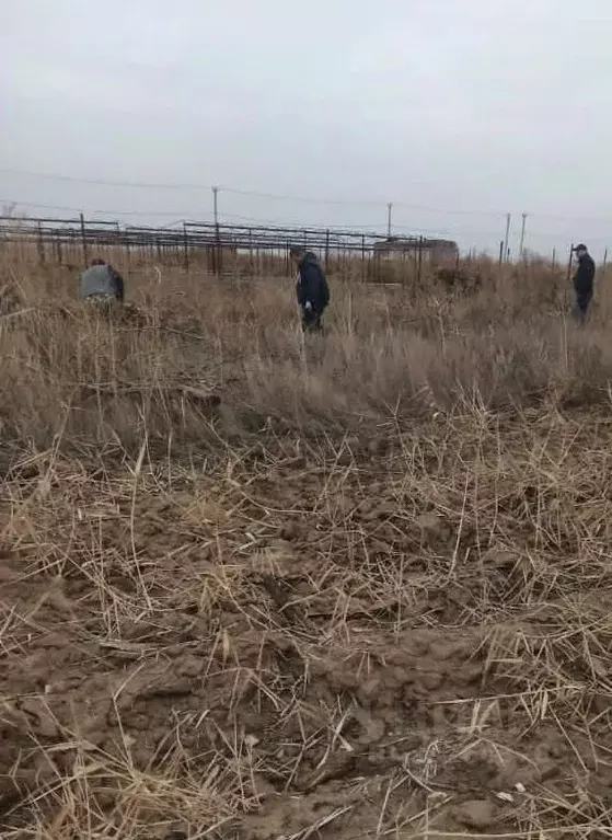 Участок в Волгоградская область, Волжский ул. Автомобилистов (9.8 ... - Фото 0