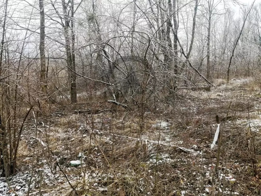 Участок в Краснодарский край, Апшеронский район, Нефтегорск пгт ул. ... - Фото 1