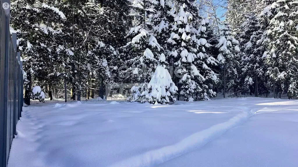 Участок в Московская область, муниципальный округ Истра, деревня ... - Фото 2