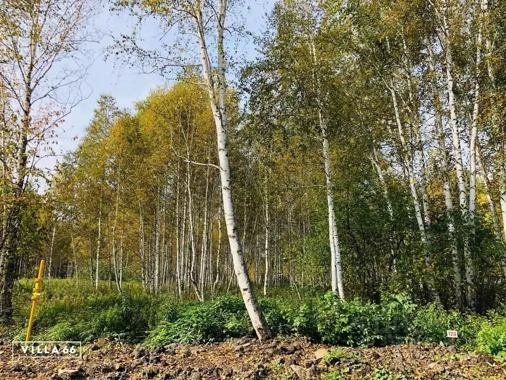 Участок в Свердловская область, Сысертский муниципальный округ, ... - Фото 0