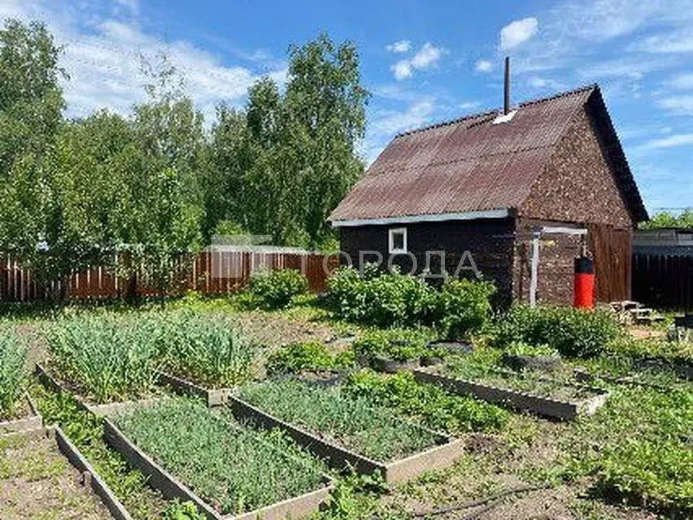 Дом в Новосибирская область, Мошковский район, с. Сокур ул. Вадима ... - Фото 1