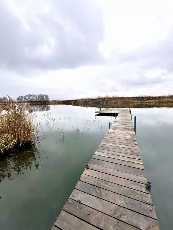 Участок в Ульяновская область, Ульяновск Залив-2 СНТ,  (6.0 сот.) - Фото 0