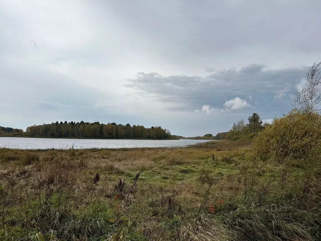 Участок в Вологодская область, Белозерский муниципальный округ, д. ... - Фото 1