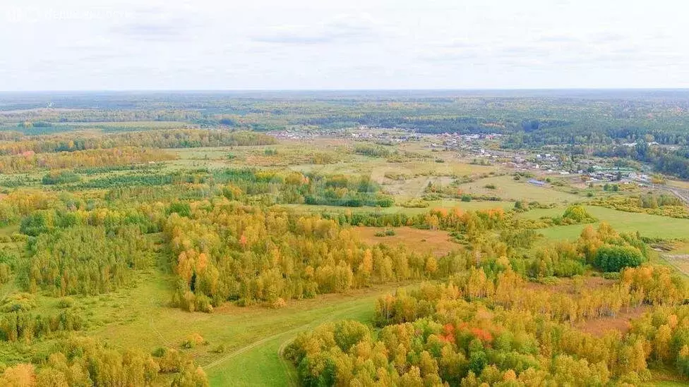 Участок в Усть-Ницинское сельское поселение, деревня Ермолина (12 м) - Фото 1