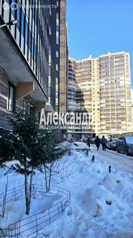 Квартира-студия: Мурино, Воронцовский бульвар, 19к1 (20.4 м) - Фото 1