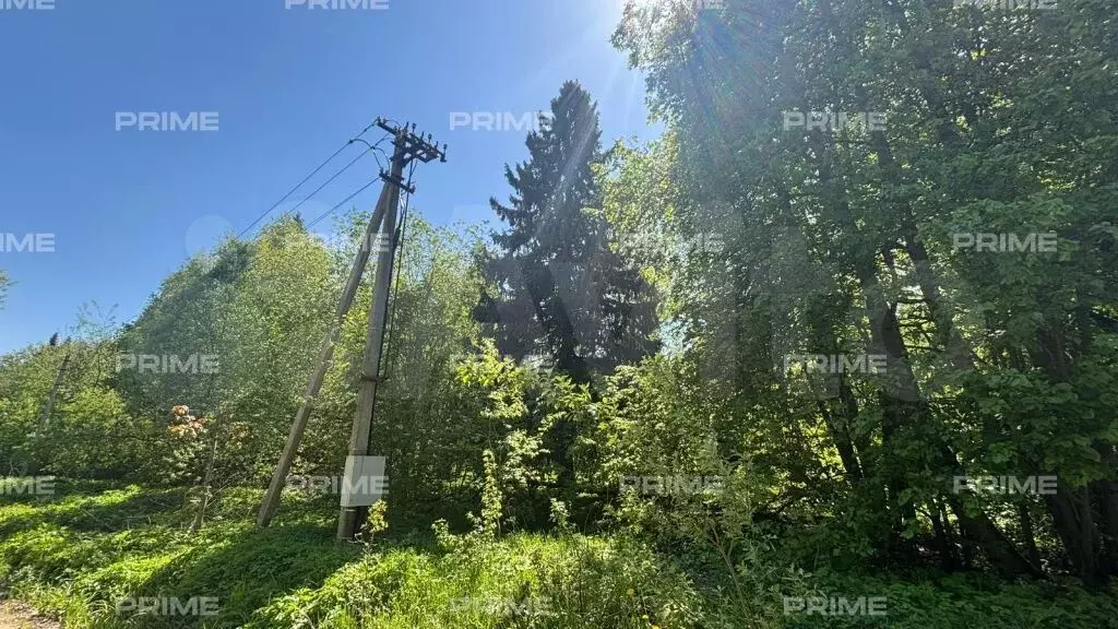 Участок 22 сот. (ИЖС) - Фото 1