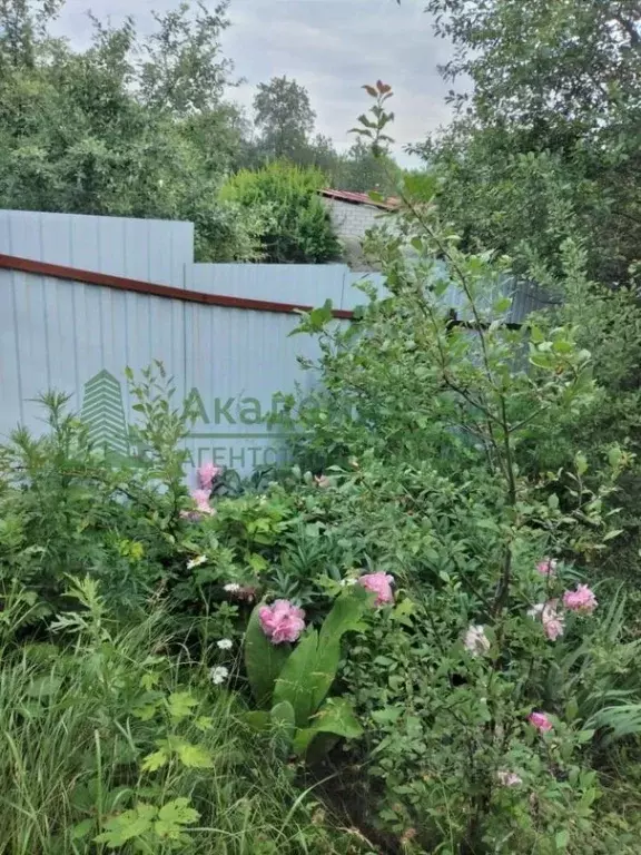 Дом в Саратовская область, Саратов Маяк СНТ,  (40 м) - Фото 1