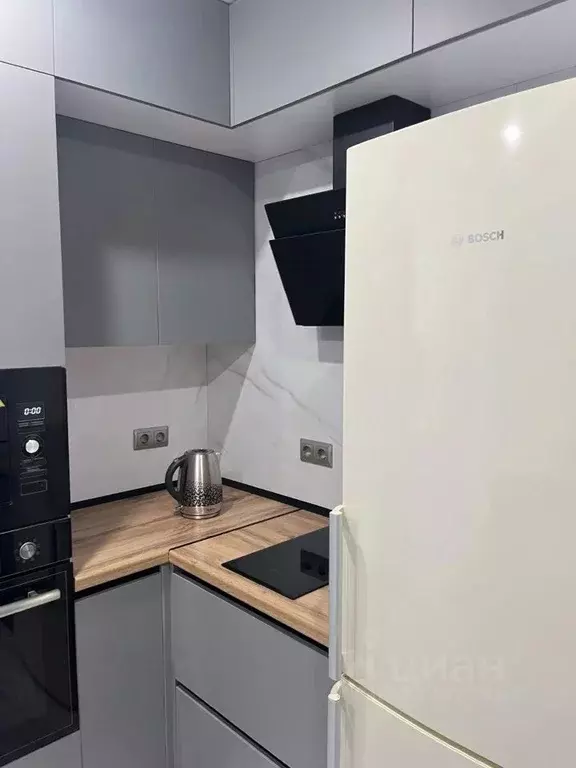 Студия Воронежская область, Воронеж ул. 9 Января, 233/54 (35.3 м) - Фото 2