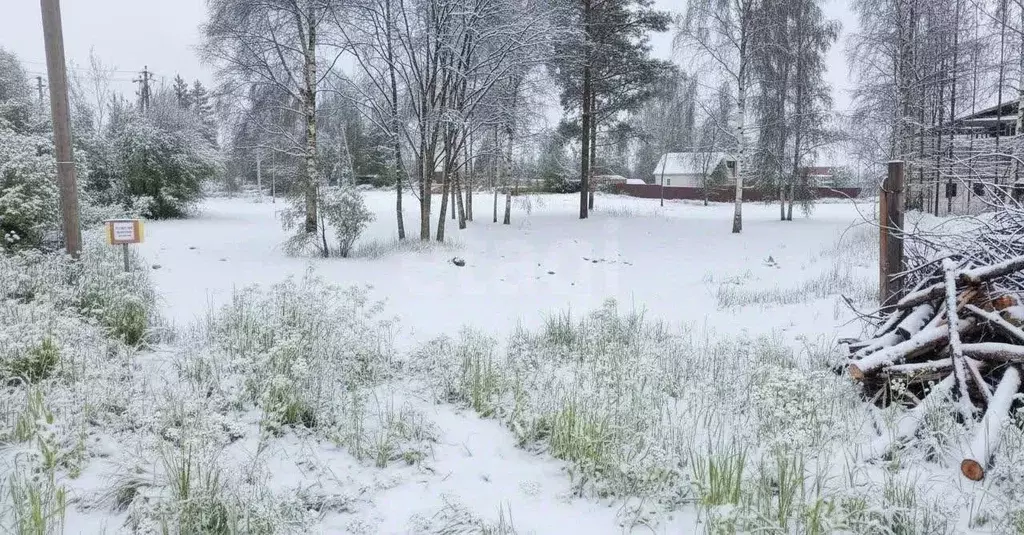 Участок в Ленинградская область, Приозерский район, Громовское с/пос, ... - Фото 1