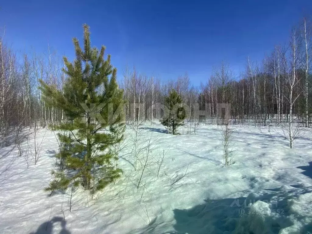 Участок в Новосибирская область, Мошковский район, Индия кп, ... - Фото 1