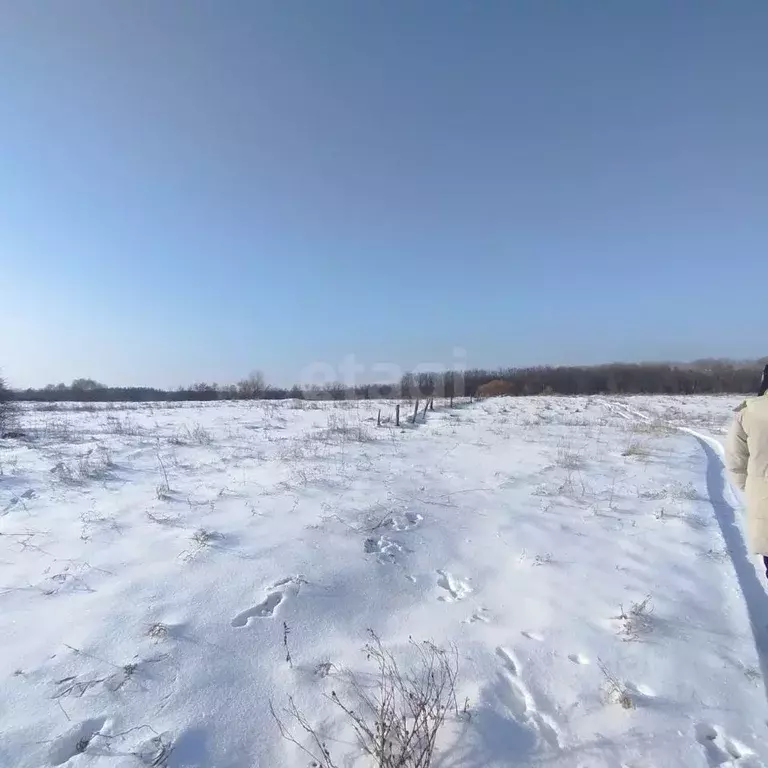 Участок в Воронежская область, Борисоглебский городской округ, с. ... - Фото 1