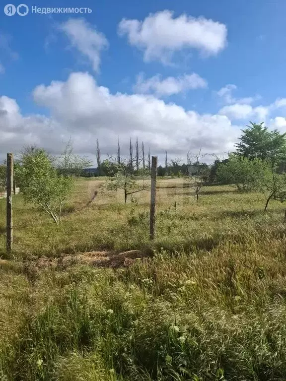 Участок в село Орехово, Фруктовая улица (10 м) - Фото 1