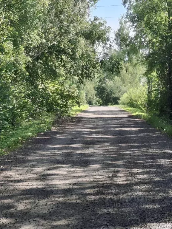 Участок в Московская область, Дмитровский муниципальный округ, ... - Фото 2