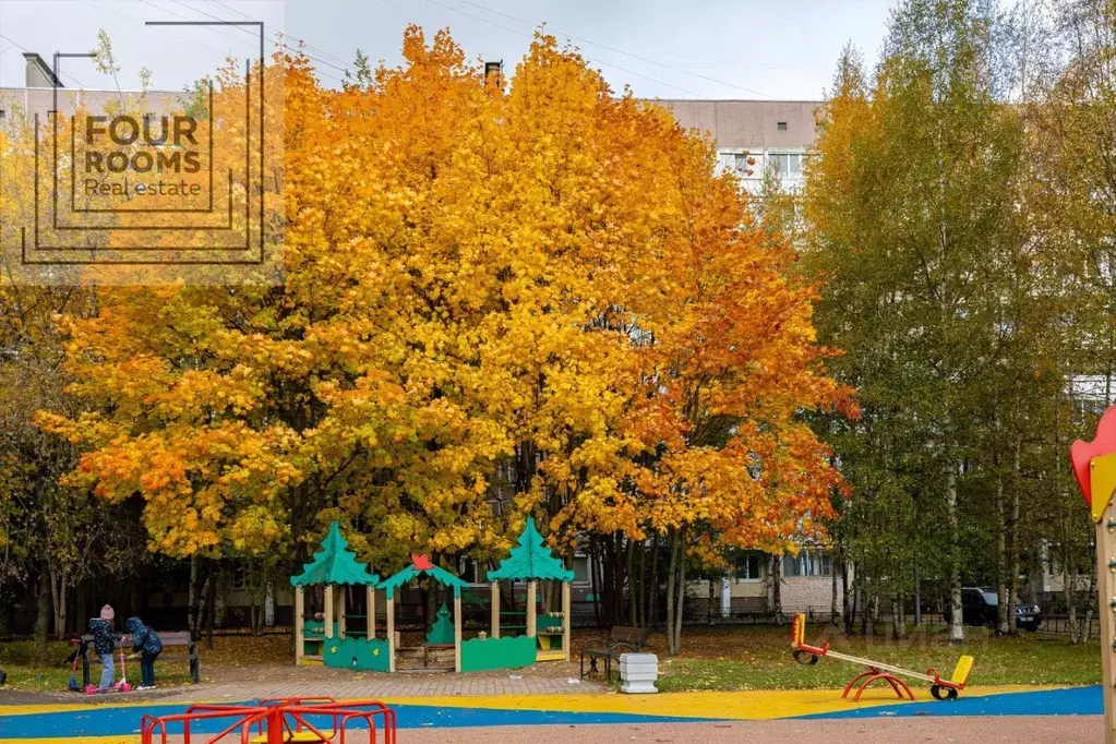 1-к кв. Санкт-Петербург ул. Шаврова, 17 (34.4 м) - Фото 1